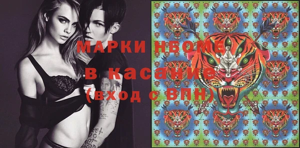 шишки Алзамай