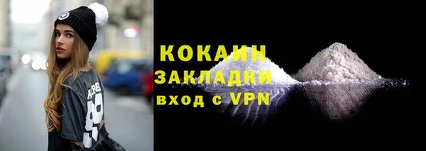ПСИЛОЦИБИНОВЫЕ ГРИБЫ Няндома