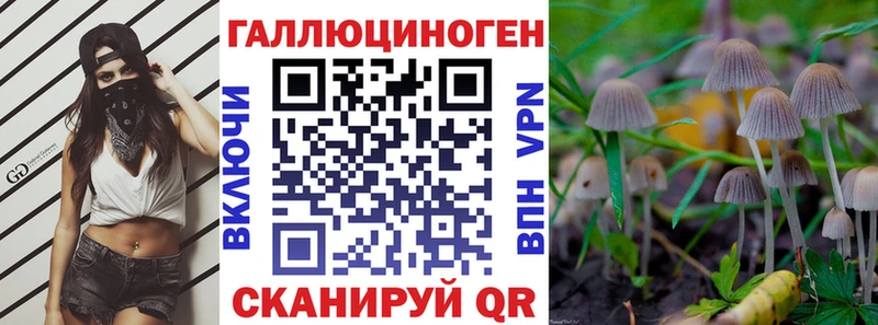 мориарти клад  Советская Гавань  Псилоцибиновые грибы MAGIC MUSHROOMS  как найти наркотики 