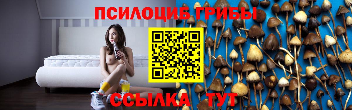 Псилоцибиновые грибы Psilocybe  Псилоцибиновые грибы Magic Shrooms  Вход с VPN  Советская Гавань 